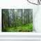Designart - Hoh Rain Forest - Landscape Photography Canvas Art Print